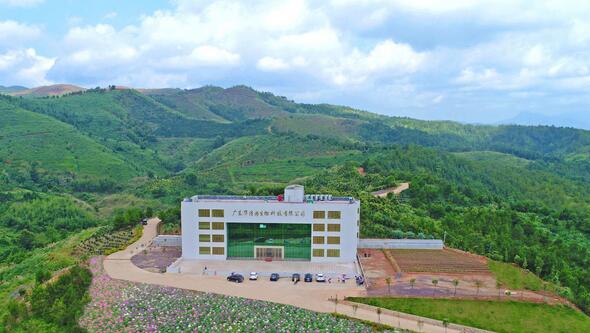 廣東華清園總體建設(shè)預(yù)計年底完成