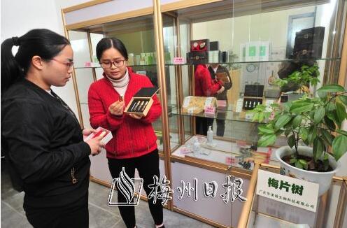 華清園是一個在梅州土生土長的農林企業(yè)