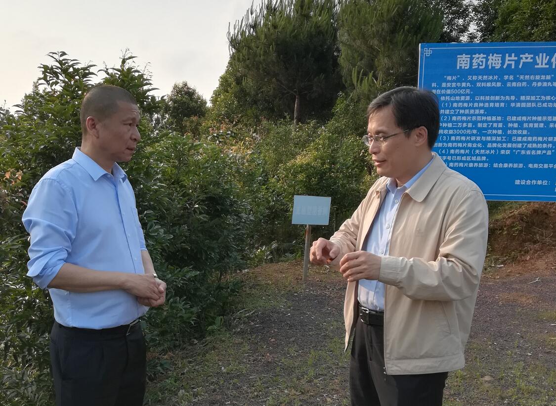 “望聞問切”支高招，“對(duì)癥下藥”獻(xiàn)良策——中國工程院院士黃璐琦為梅片產(chǎn)業(yè)發(fā)展建言獻(xiàn)策